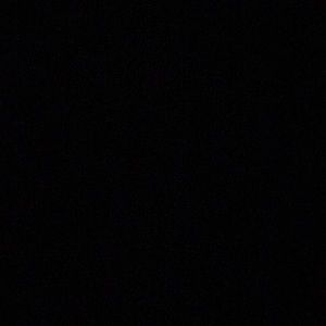 Meet your Posher, Dianna